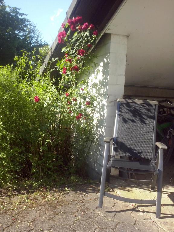 Ferienwohnung Daehne Allagen Extérieur photo